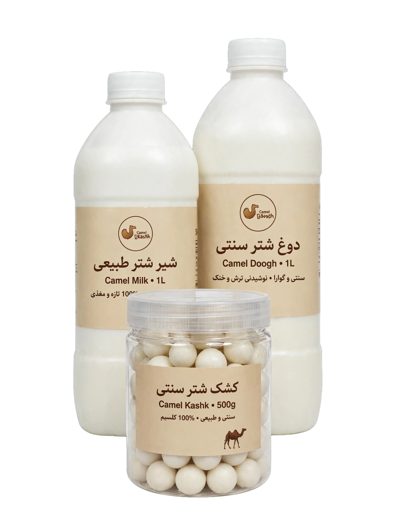 دوغ شتر چیست؟ راهنمای خرید، انتخاب و نگهداری