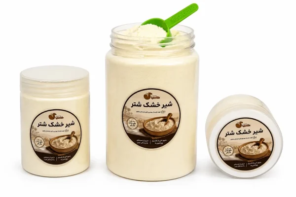 شیر خشک شتر چیست؟ راهنمای خرید، آمادهسازی و نگهداری